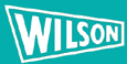 vilson.gif, 2 kB